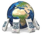 ООН сообщила, что продовольственный кризис усилится