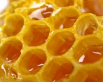 Медовый бизнес, или какие перспективы у пчеловодства как бизнеса