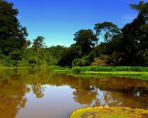 В Бразилии экологи видят угрозу амазонскому лесу