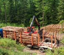 Бизнес-проект по лесозаготовке и полной лесопереработке древесного сырья.