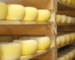 Украинские сырные продукты снова попали под запрет